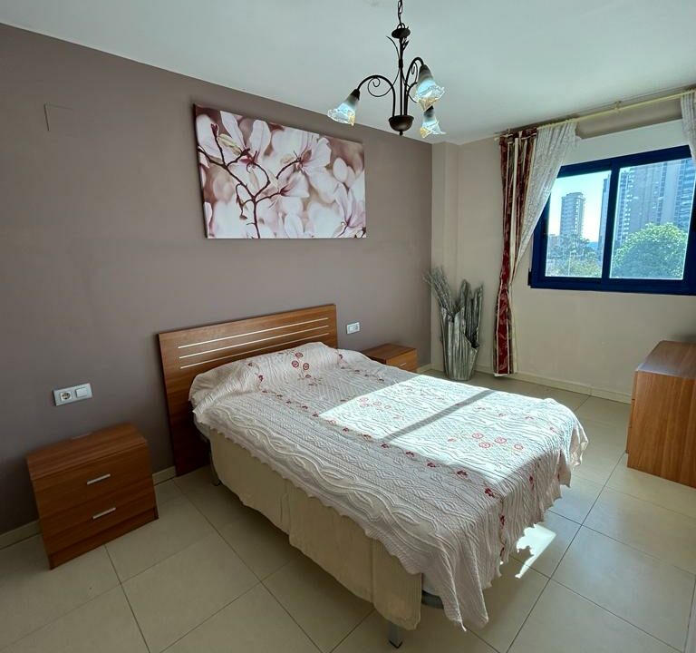 Colon D 1017