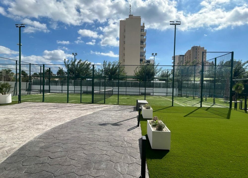colon e105