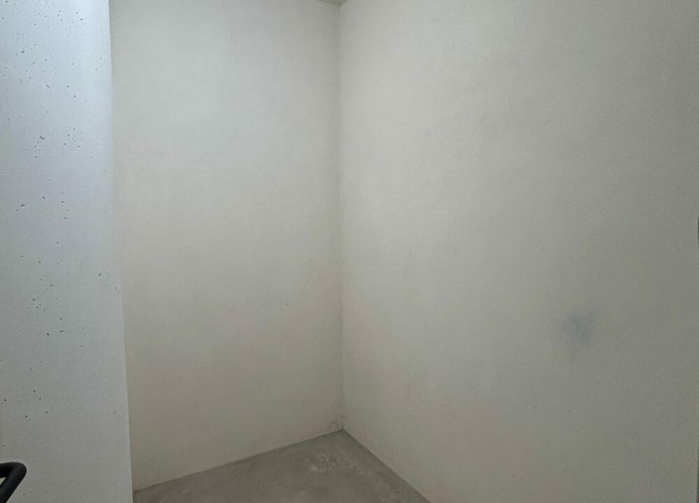 colon e105 17